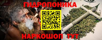 стаф Нальчик