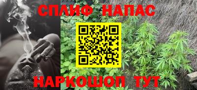 стаф Нальчик