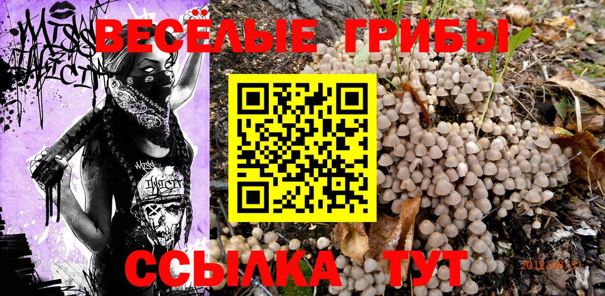 Псилоцибиновые грибы мухоморы  как найти закладки  Воткинск  Вход с VPN 